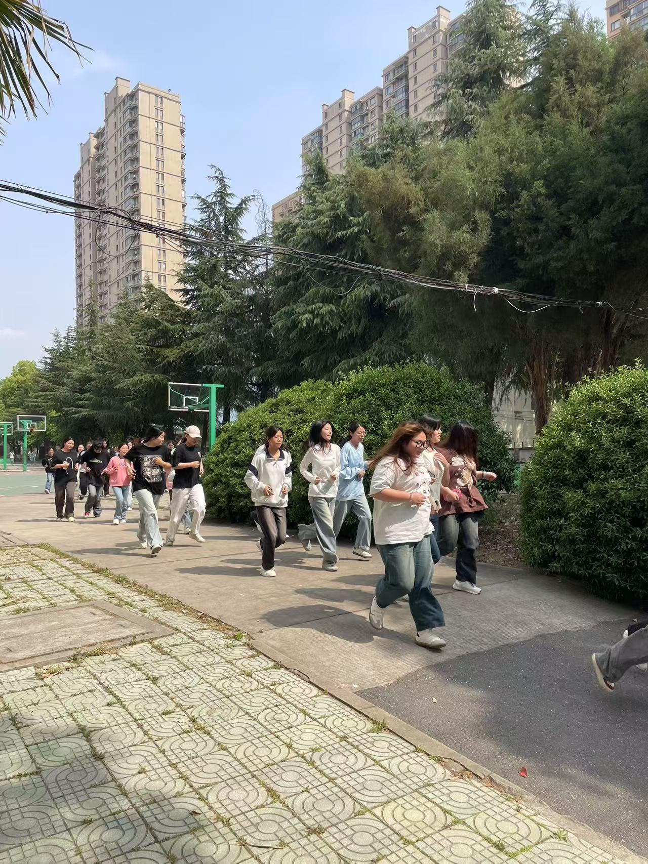 2025-04-10-09-00-57.jpg 3.jpg